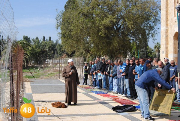 istesqa2 ramla 0201 (20).JPG